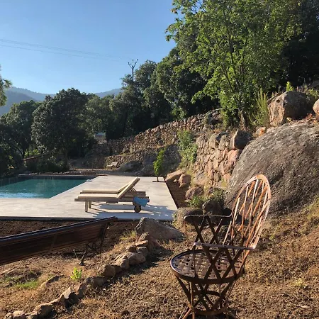L'aiglon * Serriera (Corsica)