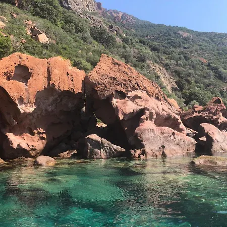 L'aiglon Serriera (Corsica)