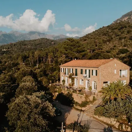 L'aiglon Serriera (Corsica)