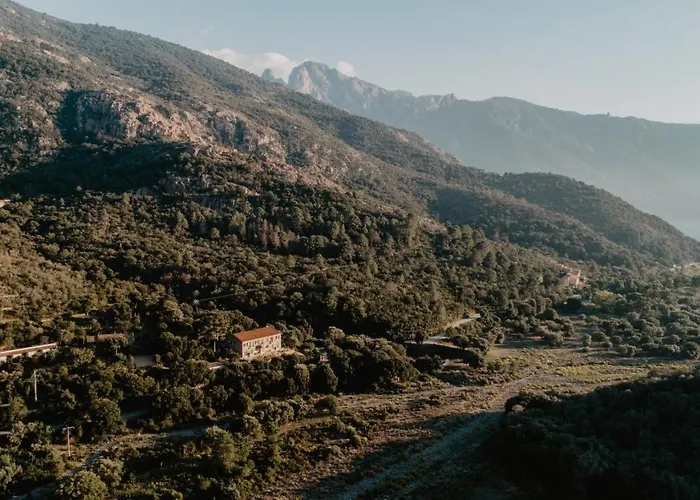 L'aiglon Serriera (Corsica)
