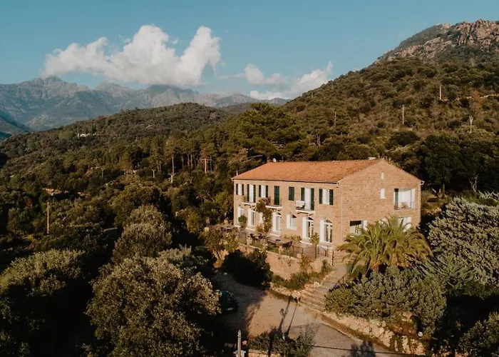 L'aiglon Serriera (Corsica)