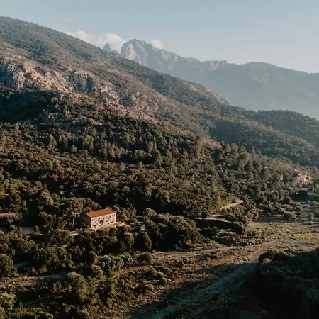 L'aiglon Serriera (Corsica)