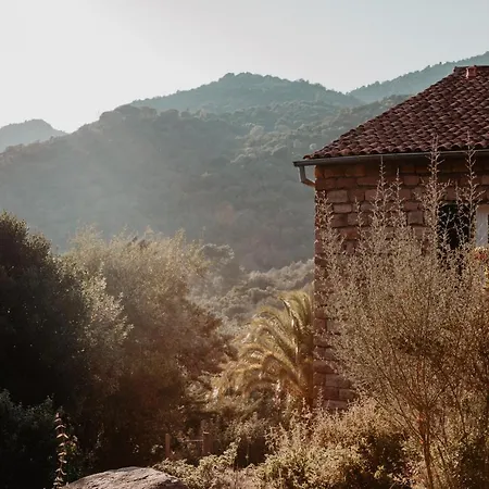 L'aiglon Serriera (Corsica)