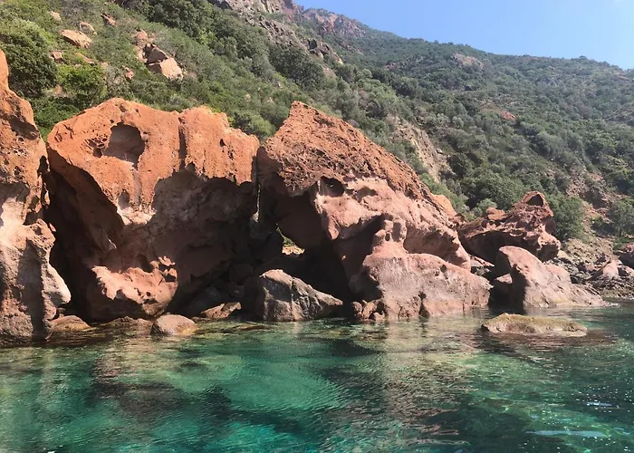 L'aiglon Serriera (Corsica)