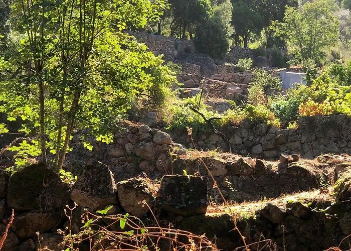 L'aiglon Lägenhetshotell