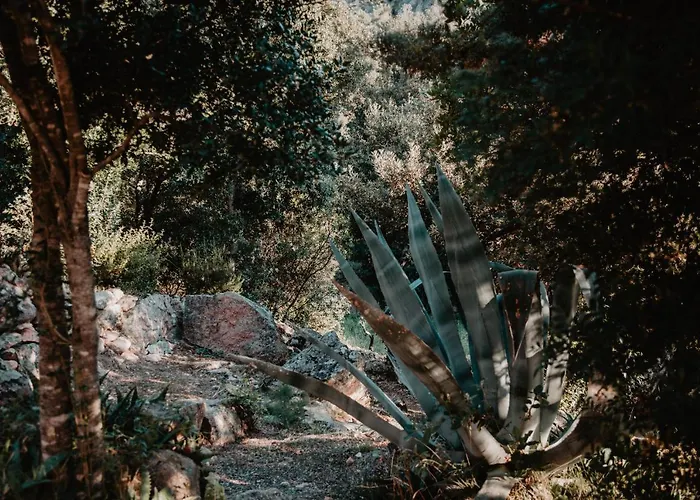 公寓式酒店 L'aiglon