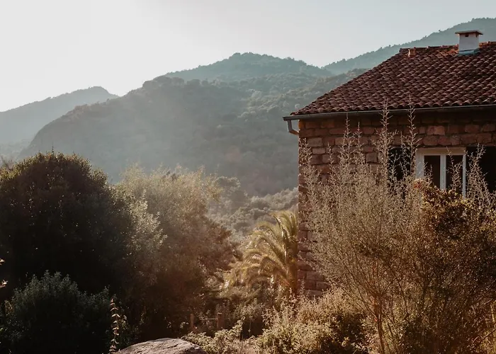 L'aiglon Serriera (Corsica)